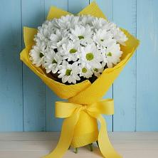 Букет цветов из:  Хризантемы в Покровском Республика Дагестан