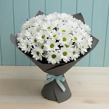 Букет цветов из:  Хризантемы в Покровском Республика Дагестан