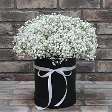 Цветочная композиция из Гипсофила в шляпной коробке #REPLACE_PRED# Покровском Республика Дагестан