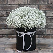Цветочная композиция из Гипсофила в шляпной коробке в Покровском Республика Дагестан